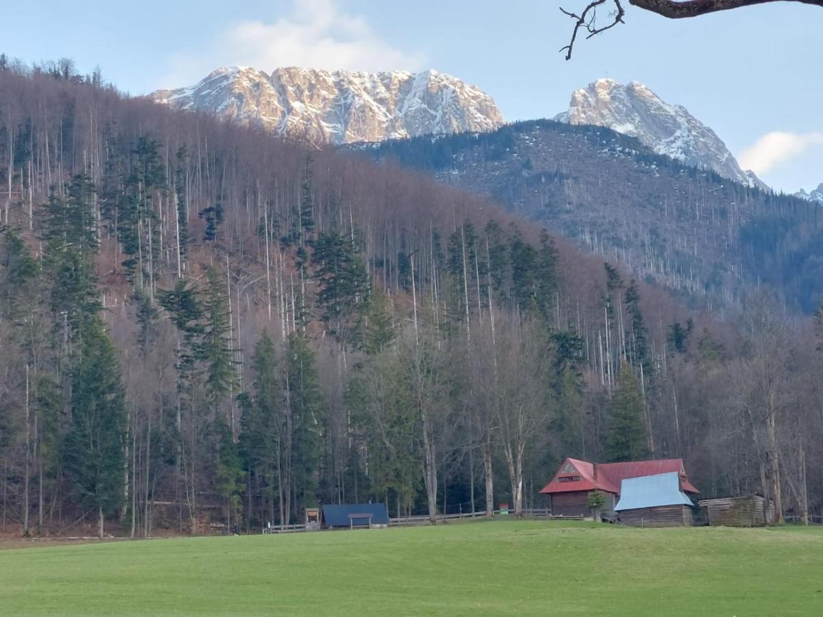 Apartament 3 Strazyska 21A Zakopane Buitenkant foto